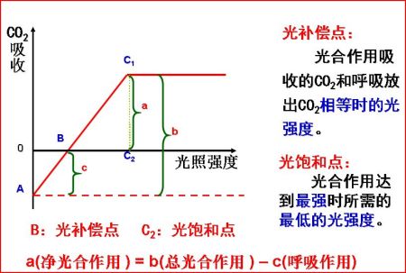 深圳：鼓励智能家居企业加快适配国产操作系统和芯片 推动家具、电视、扫地机器人等全